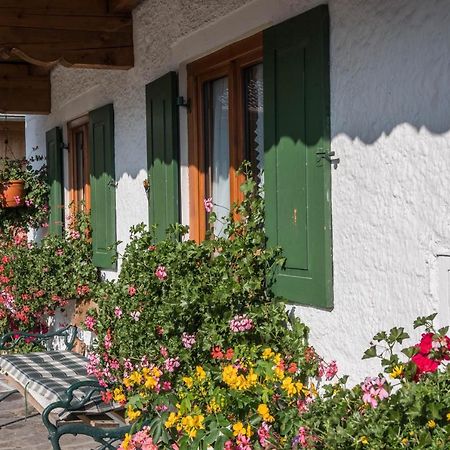 Ferienwohnung Zugspitze Grainau Dış mekan fotoğraf