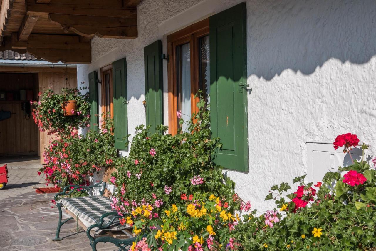 Ferienwohnung Zugspitze Grainau Dış mekan fotoğraf